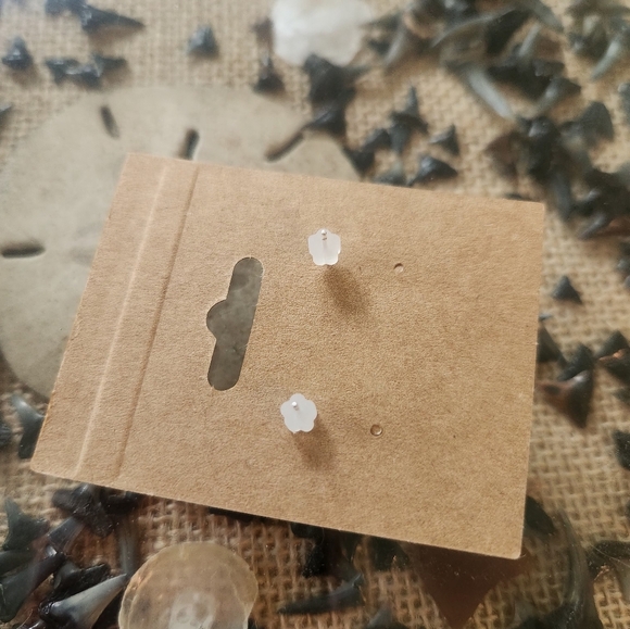 Handmade Black Shark Tooth Stud Earrings - Picture 3 of 3